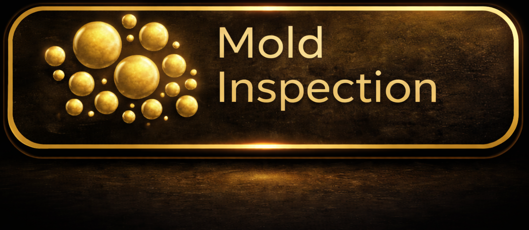 Mold Inspection